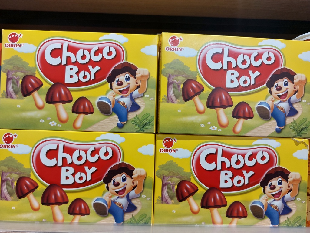 Choco boy 100 гр печень 1/15 ш