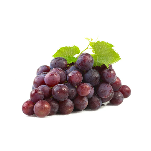 Усан үзэм үргүй plu-13