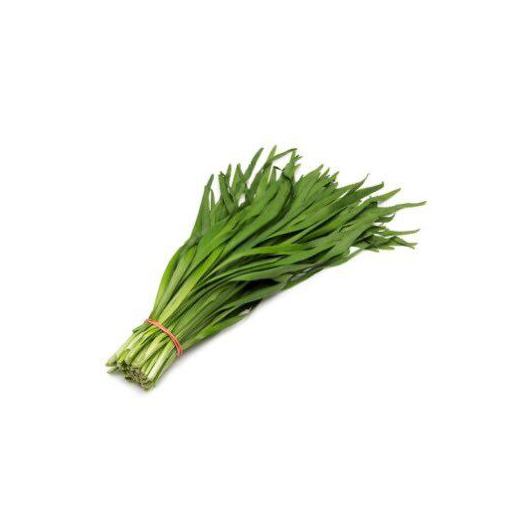 Жууцай  plu-37