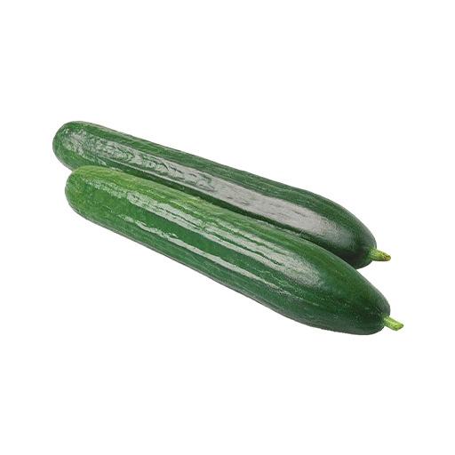 Ногоон өргөст хэмх plu-19