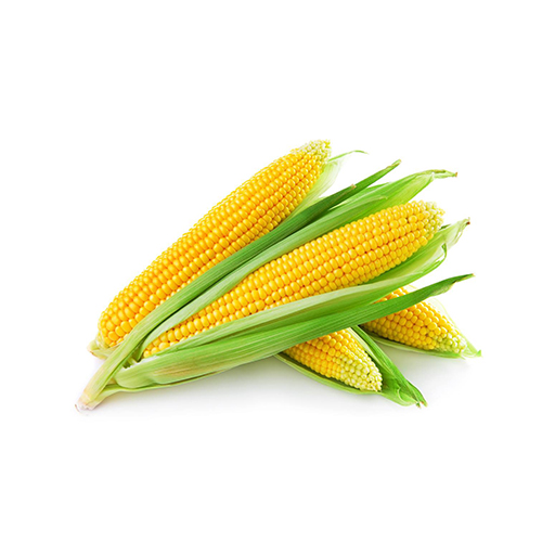 Эрдэнэшиш кг plu-349