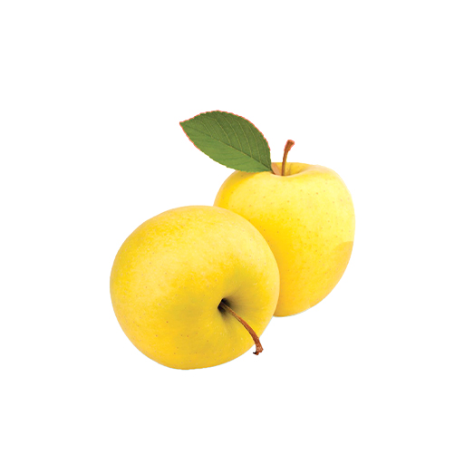 [70010038] Алим цасангуа plu-43