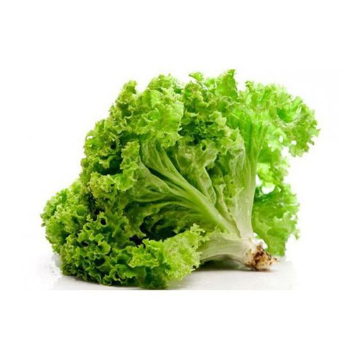 [70020001] Салатны навч plu-26