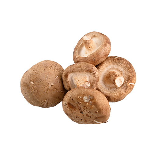 [70020023] Бор мөөг plu-25