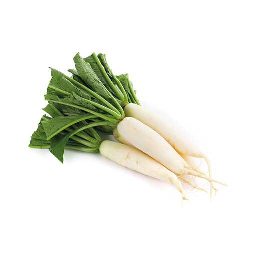 [70020052] Цагаан лууван plu-236