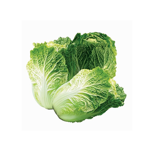 [70020055] Цоо байцаа  plu-46