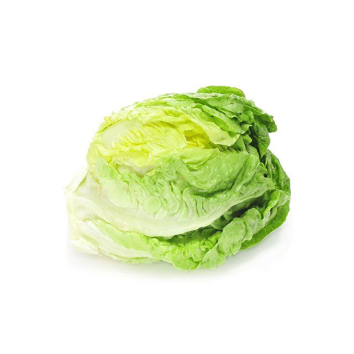 [70020056] Ice berg давжаа байцаа plu-803