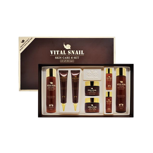 [30080019] Christian dean vital snail 6set